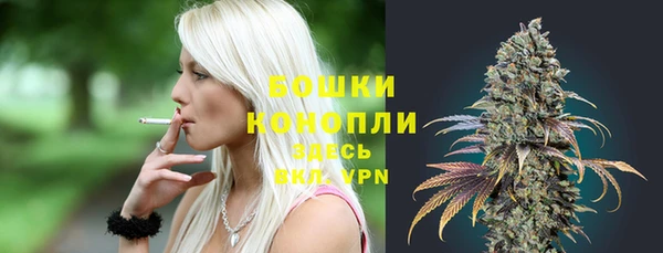 ECSTASY Белокуриха