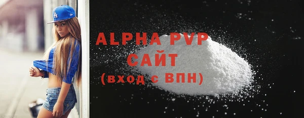 ECSTASY Белокуриха