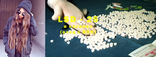 ECSTASY Белокуриха