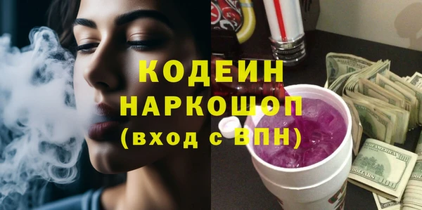 крисы Кулебаки