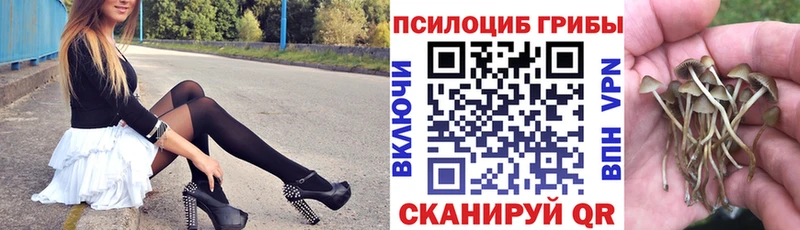 Псилоцибиновые грибы GOLDEN TEACHER  Володарск 